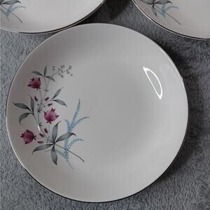 Set of 5 Vintage ROYAL MONARCH Fern Valley 8" Coup Soup Bowl Platinum Trim